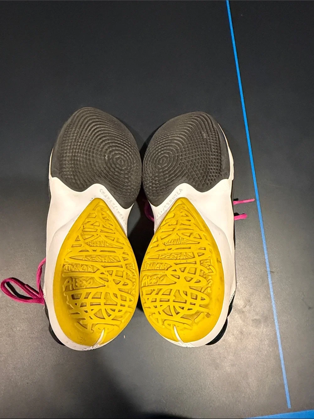 Women’s Nike Zoom Freak 2 Basketball Shoes